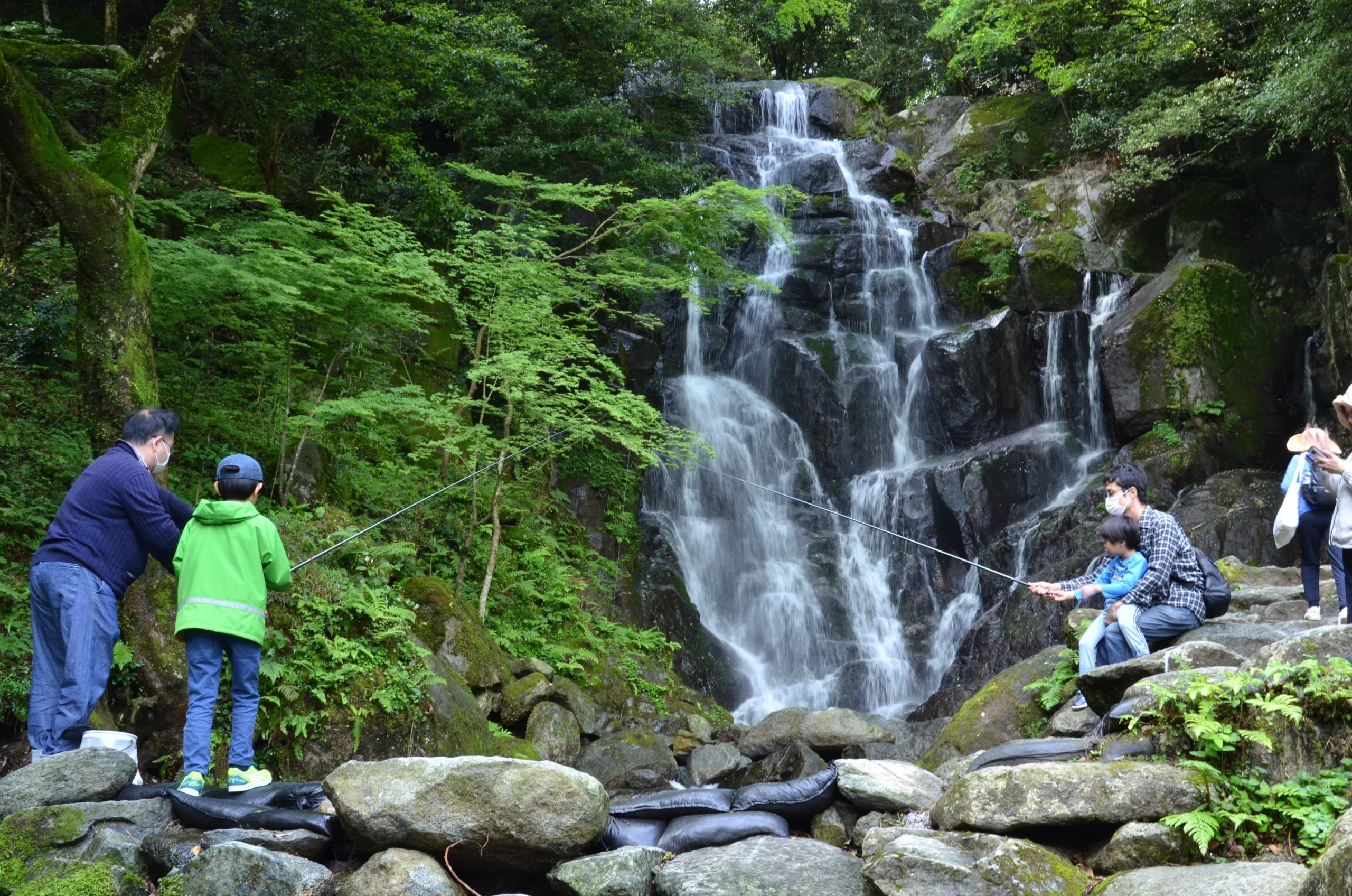 🌊 하얀 실 폭포(시라이토노타키) 이미지 1